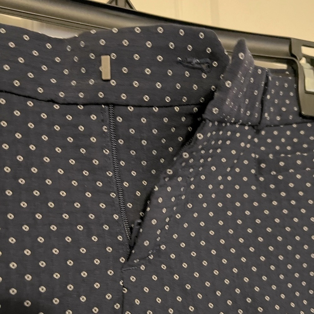 Banana Republic Sloan Crop Slacks